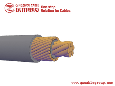 SERVICE ENTRANCE CONCENTRIC CABLE-DOMINICAN